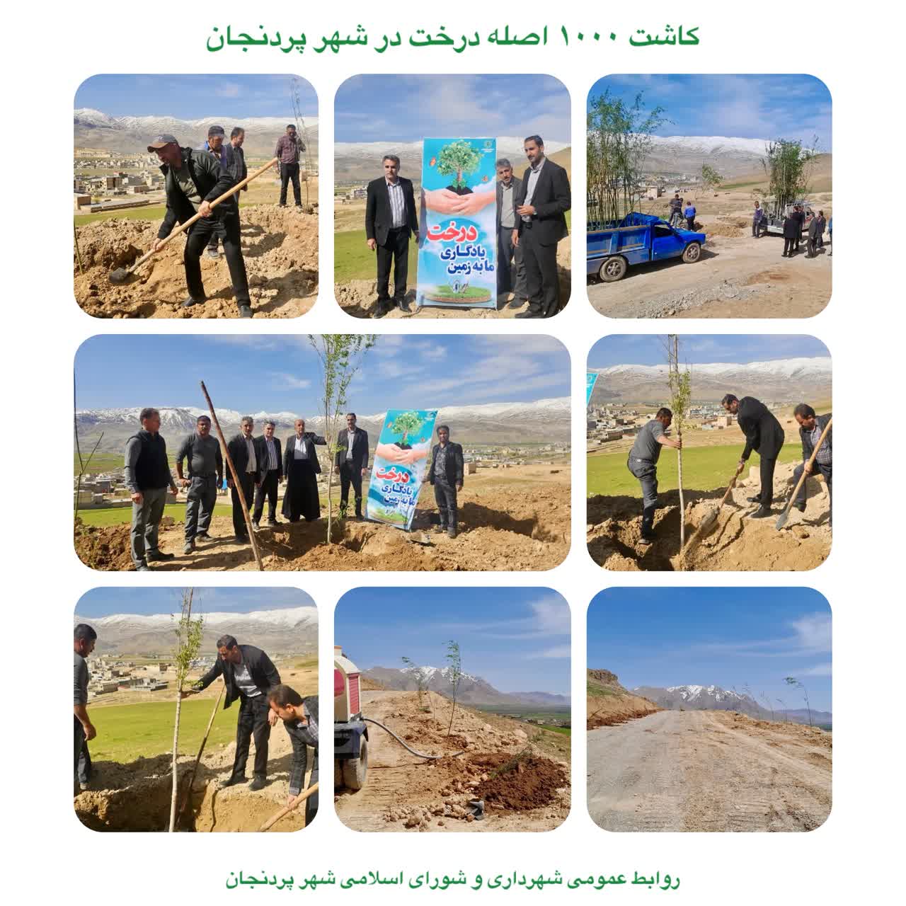 کاشت درخت